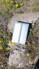 PERFUMES ESSENS Mas natural y mas duracion‼