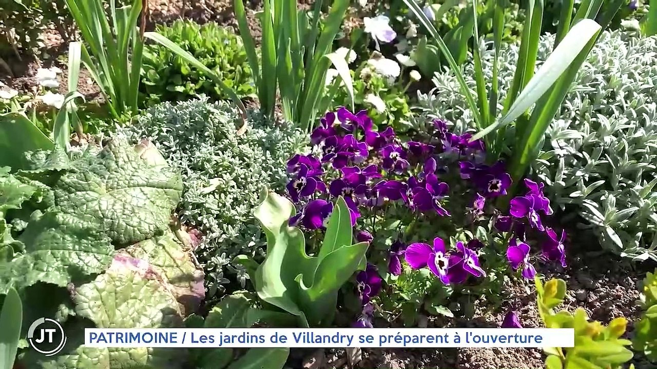 PATRIMOINE / Les jardins de Villandry se préparent à l'ouverture