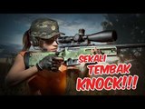 5 SENJATA PALING SAKIT PUBG MOBILE SEASON 4 YANG JARANG DIKETAHUI, 100% LANGSUNG MATI DI TEMPAT!