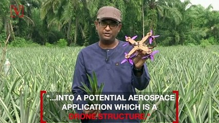 Can Pineapple Waste Be The Future of Drones?