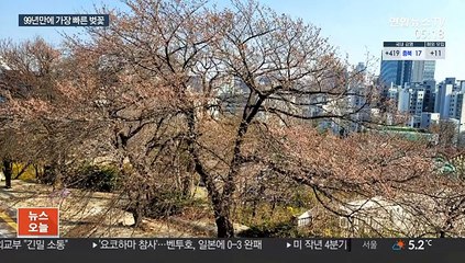 역대 가장 빠른 서울 벚꽃…2년 연속 3월 개화