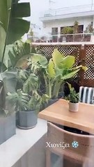 Χριστίνα Μπόμπα: Η βεράντα της είναι παράδεισος! Η απίθανη διακόσμηση