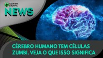 Ao Vivo | Cérebro humano tem células zumbi. Veja o que isso significa | 25/03/2021 | #OlharDigital