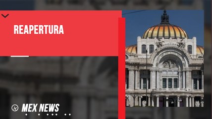 EN ENTREVISTA. ¡EL MUSEO DEL PALACIO DE BELLAS ARTES REABRE SUS PUERTAS!