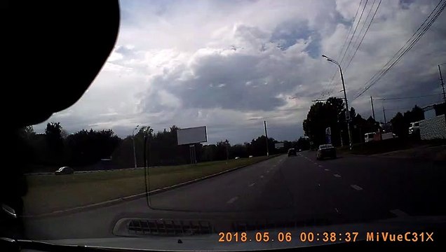 Doggo Follows Crosswalk Traffic Rules