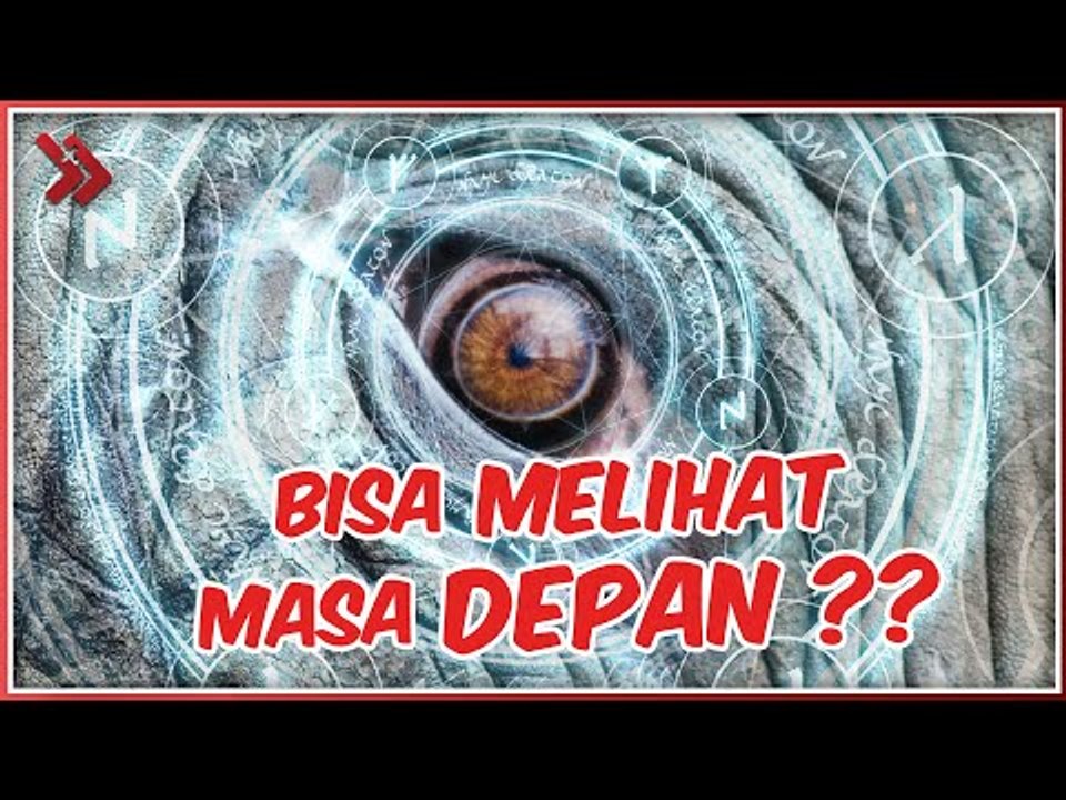 MERAMALKAN MASA DEPAN! 5 BINATANG YANG BISA MENDETEKSI BENCANA YANG AKAN TERJADI