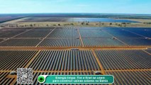 Energia limpa- Tim e Enel se unem para construir usinas solares na Bahia