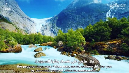 مواقف مؤثرة من حب الصحابة للرسول - الشيخ علي القرني