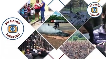 Sector arrocero nacional afectado por las importaciones del grano