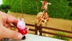 Peppa Pig & Family Visit the Safari Ltd Zoo - Educational Animal Learning Video for Kids