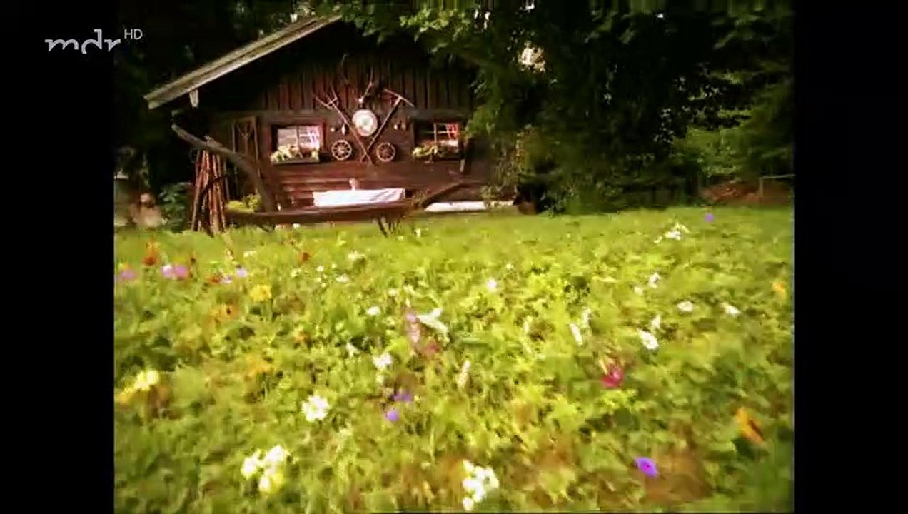 Sturm der Liebe Folge 335