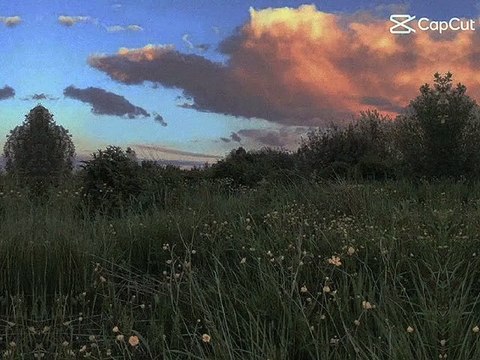 ate frances ko lang malakas❤