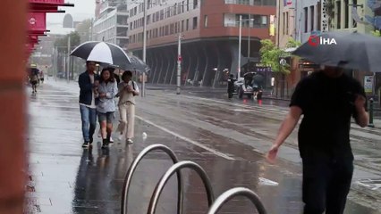 - Avustralya'da ölümcül 'örümcek istilası' paniği