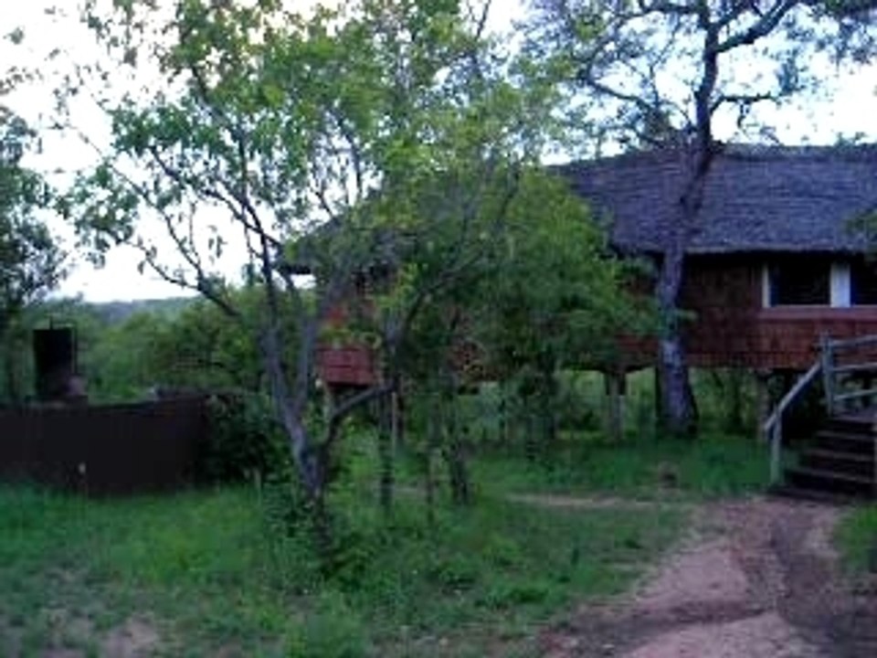 Ptite cabane