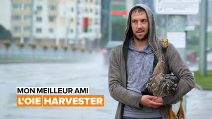 Comment une oie est devenue ma meilleure amie