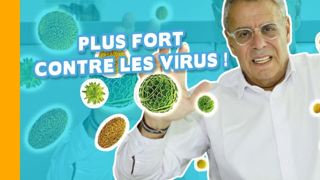 Contre les Virus : 6 Aliments pour Booster Votre Immunité