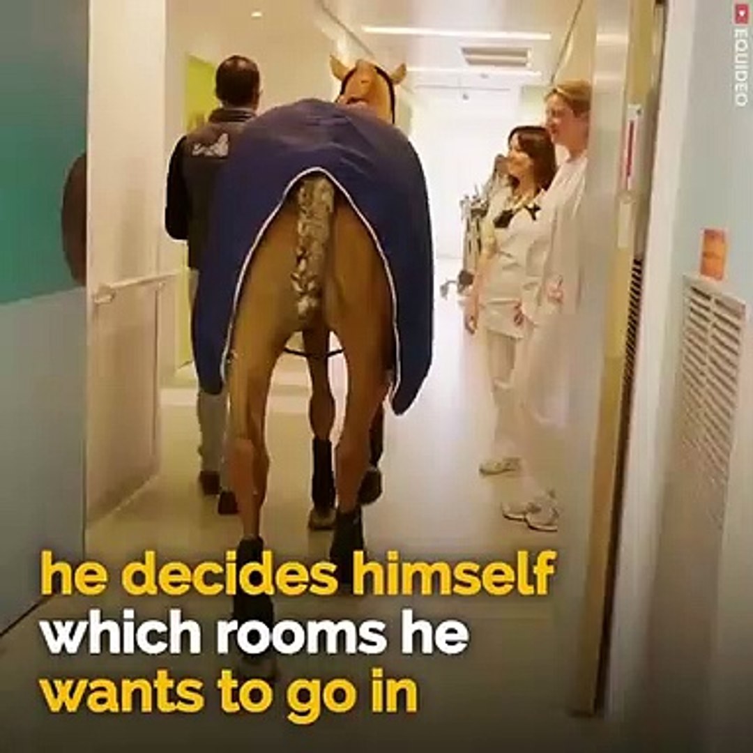 ⁣The love of the master of the