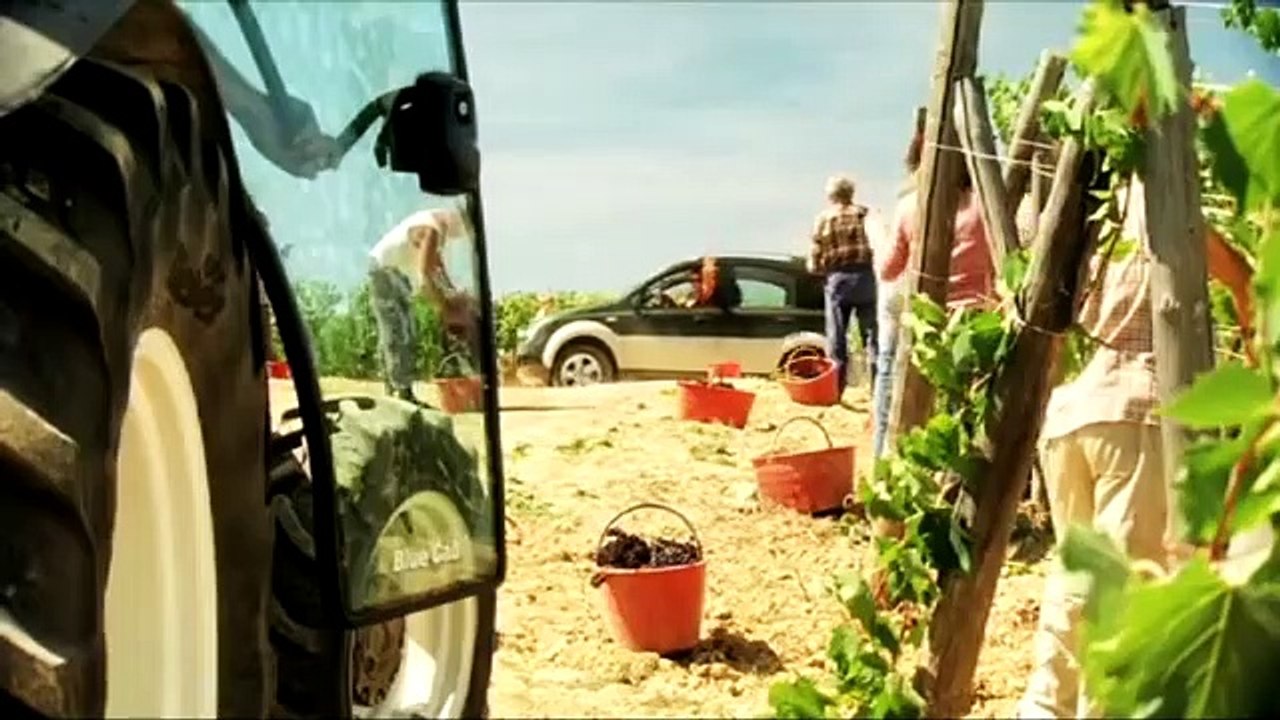 Matrimoni e altri disastri - Trailer