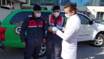 Yaralı atmacaya jandarma sahip çıktı