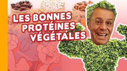 PROTÉINES VÉGÉTALES : COMMENT VIVRE EN MANGEANT DES GRAINES ?