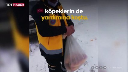 Sokak hayvanlarının imdadına sağlık ekipleri yetişti