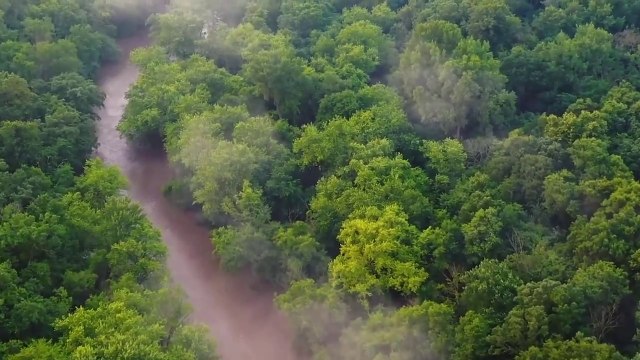 Walk with Nature Relaxing Walk in Thunderstorm, Calm Music and Nature Sounds for Sleep and Study