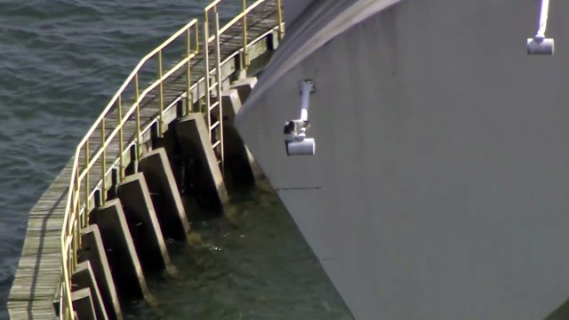 Canlı yayında kedi operasyonu! Herkes ağzı açık izledi