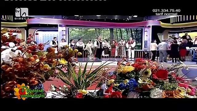 Nelu Balasoiu - Tu, mama, cand m-ai facut (Petrecere romaneasca - Tvh - 01.03.2015)