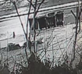 KIZ KULESİ'NİN KARŞISINDAKİ AĞAÇLARIN KESİLME GÖRÜNTÜLERİ ORTAYA ÇIKTI