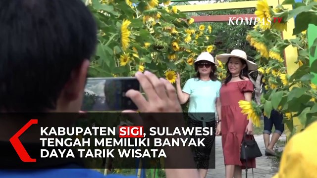 Pemandian Air Panas Bora, Rekreasi Sambil Terapi