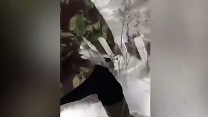 -56 derecede hayvanlar soğuktan taş kesildi!