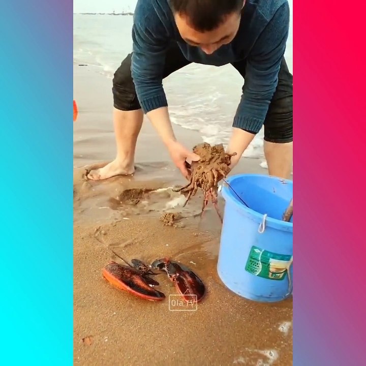 Amazing Catch Alot of fish, snail, crab, cuttle, octopus... On The Beach