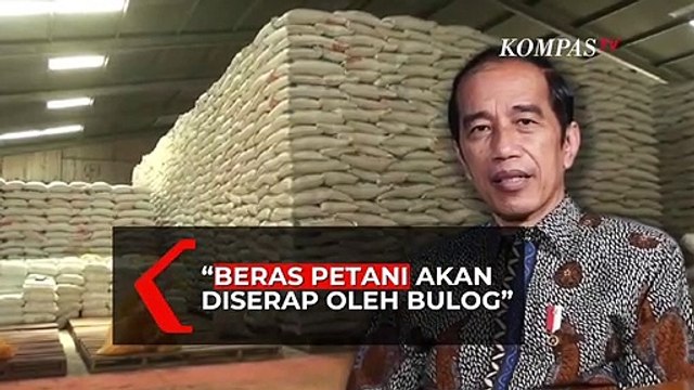 Jokowi Pastikan, Bulog Akan Serap Beras Petani