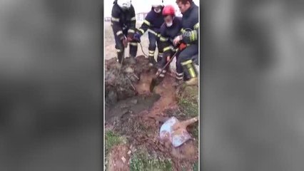 Son dakika haberleri: Aksaray'da foseptik çukuruna düşen atı itfaiye ekipleri kurtardı