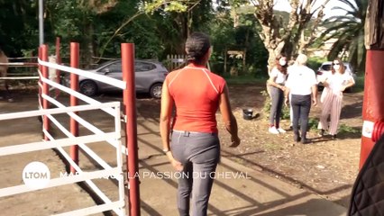 Martinique - La passion du cheval