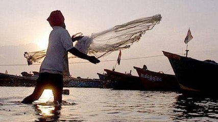 Download Video: Why several fisherman in Tamil Nadu are in trouble with Sri Lankan Navy