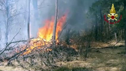 Somma Lombardo (VA) - Incendio nel bosco di Coarezza (26.03.21)