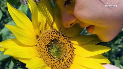 فوائد الزنك ومصادره: اكتشفوا الان في الفيديو التالي