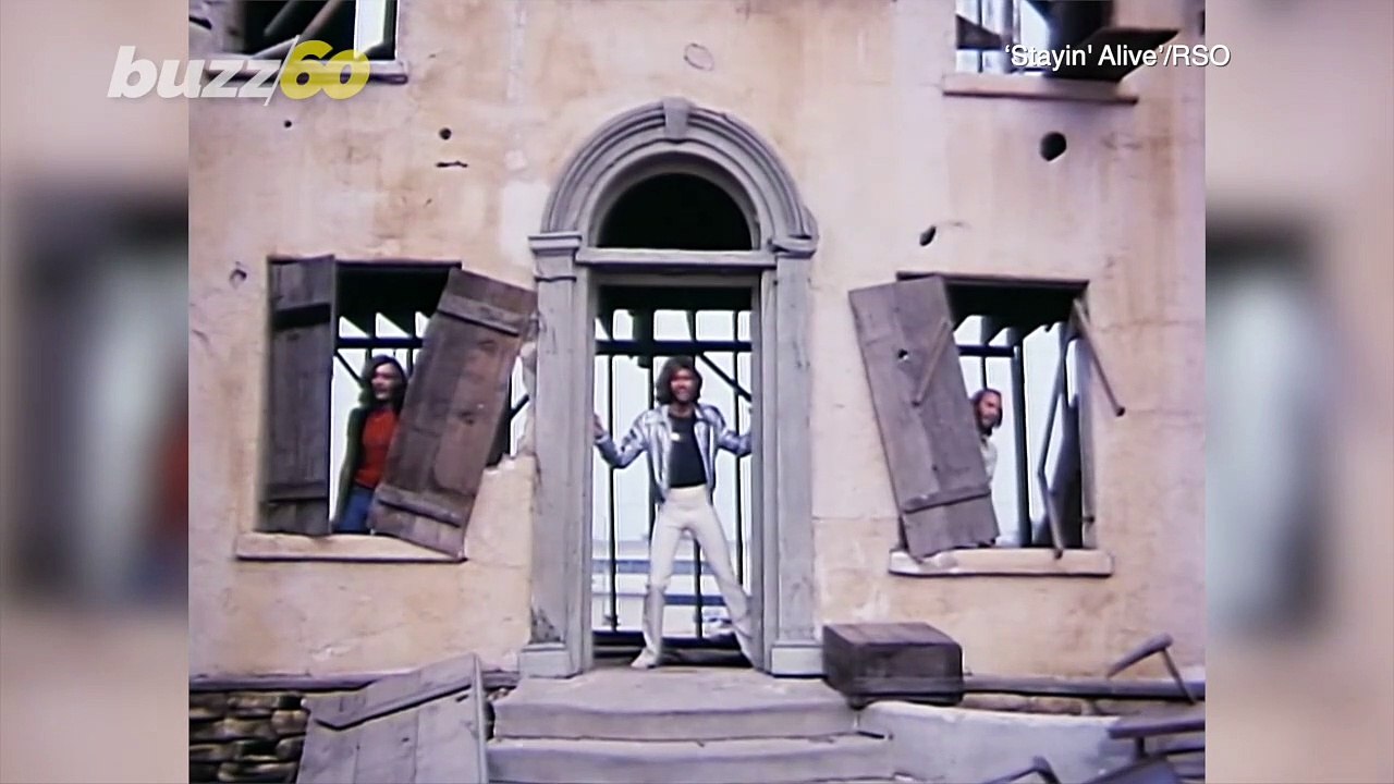 Gibb a Little Bit! Listen To This Gibbon Sing His Family Song at a Texas Zoo!