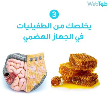 فوائد تناول العسل مع الماء على الريق