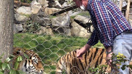 Le parc zoologique de St-Martin-la-Plaine interpelle le gouvernement
