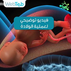 فيديو توضيحي لعملية الولادة