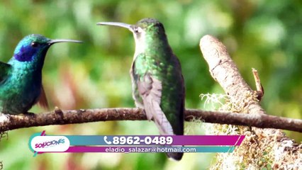 Soluciones del Trece - Miércoles 31 de marzo del 2021