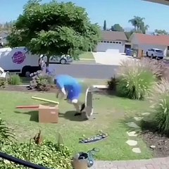 excellent delivery boy