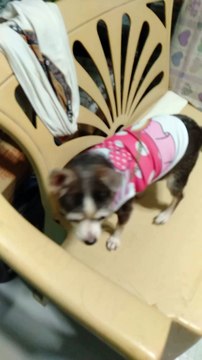 happy cla kc dumating n ung damit nila