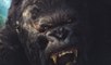 King Kong  - Tráiler sobre el juego de 2005 sobre la película homónima de Peter Jackson