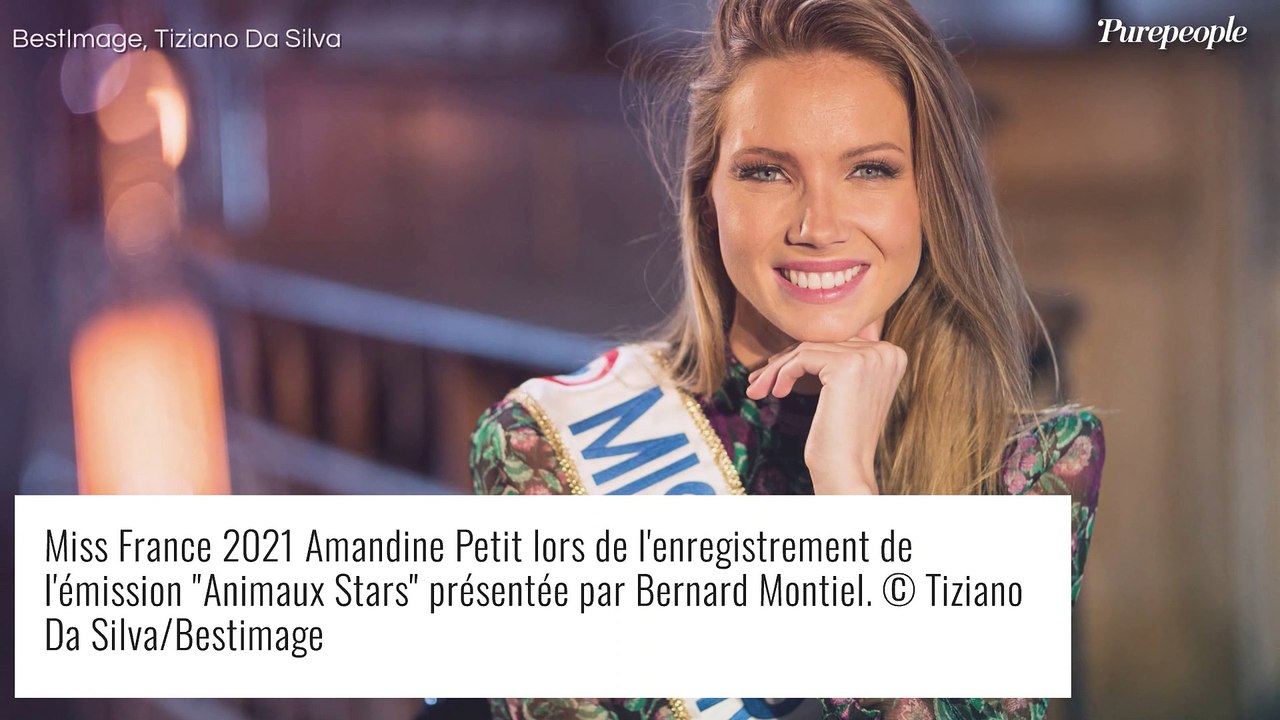 Amandine Petit avantagée pour Miss Univers 2020 ? Elle dispose d'un atout de taille