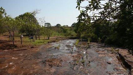 Kolombiya ormanlarındaki eski kayalar ve mağara sanatı