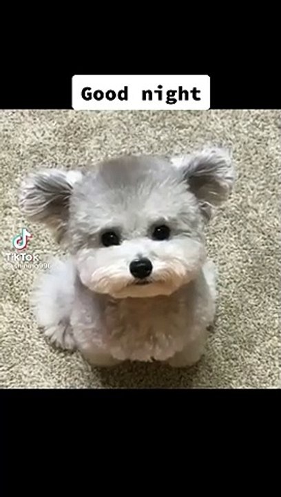 #funny