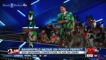 Bakersfield native is a contestant on new dog grooming show Pooch Perfect